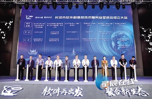 長(zhǎng)沙軟件和信息技術(shù)服務(wù)企業(yè)速看 政府政策紅利集中釋放